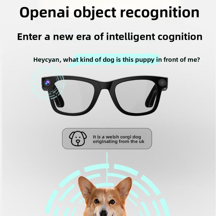 FALUVA Aura AI Glasses - Integrated 8MP Camera