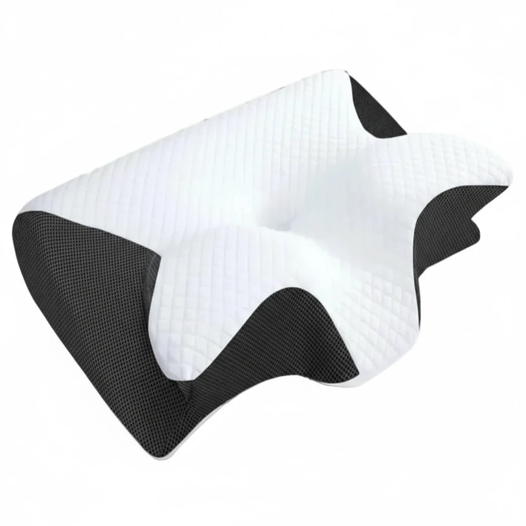 FALUVA Ergonomic Lumbar Support Cushion Black