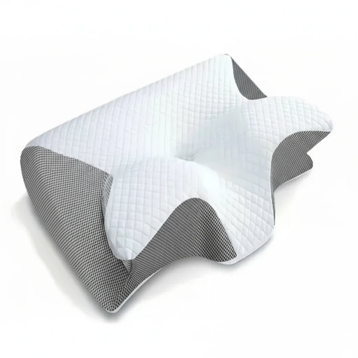 FALUVA Ergonomic Lumbar Support Cushion Gray