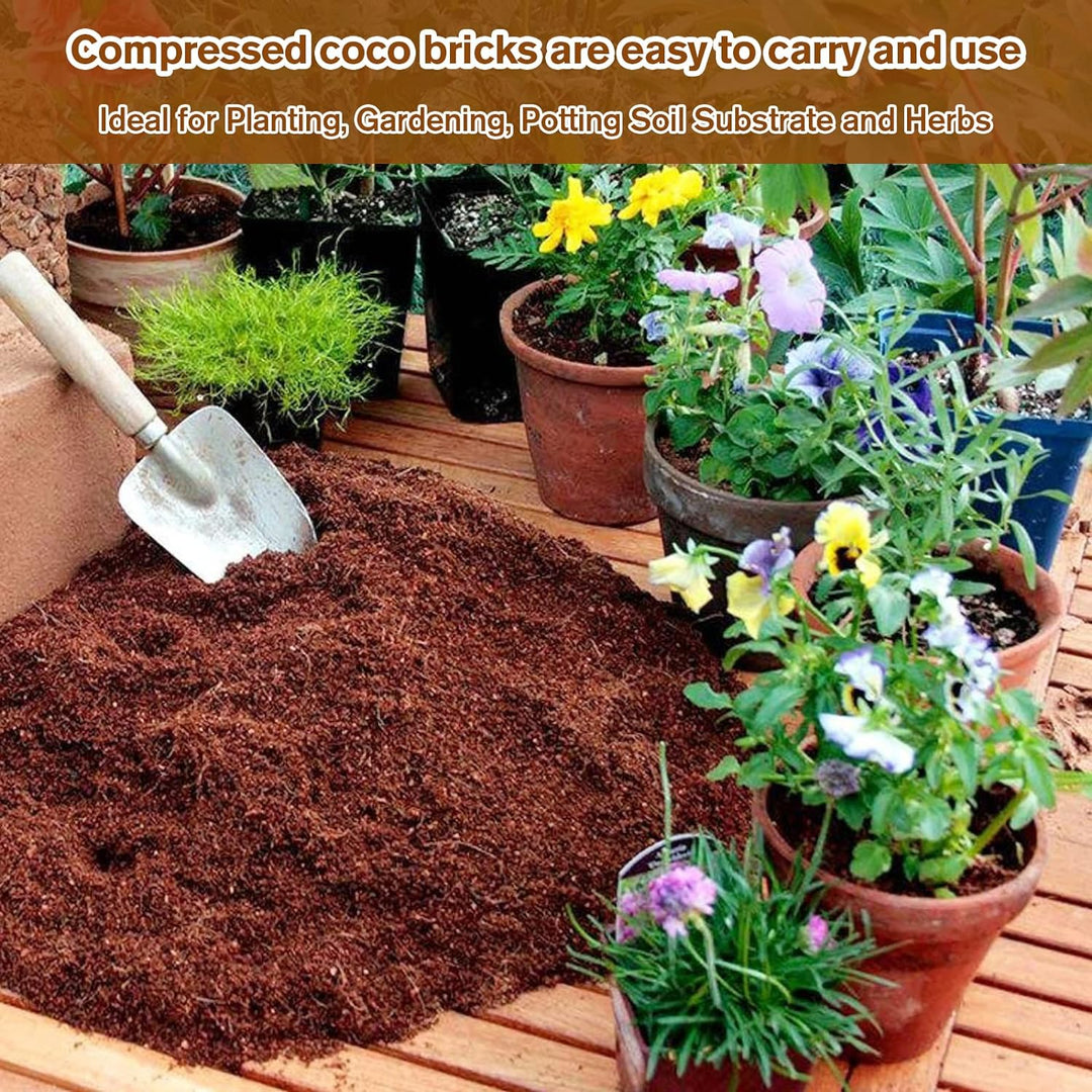 FALUVA Luca Organic Coconut Coir