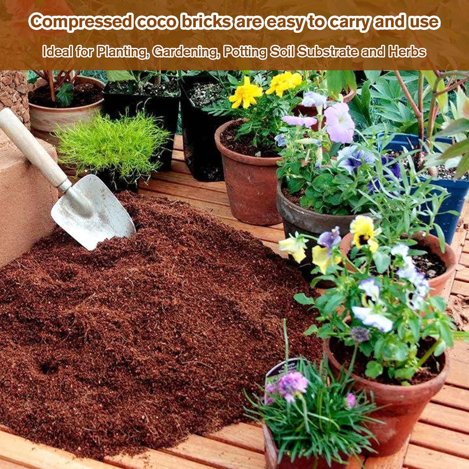FALUVA Luca Organic Coconut Coir