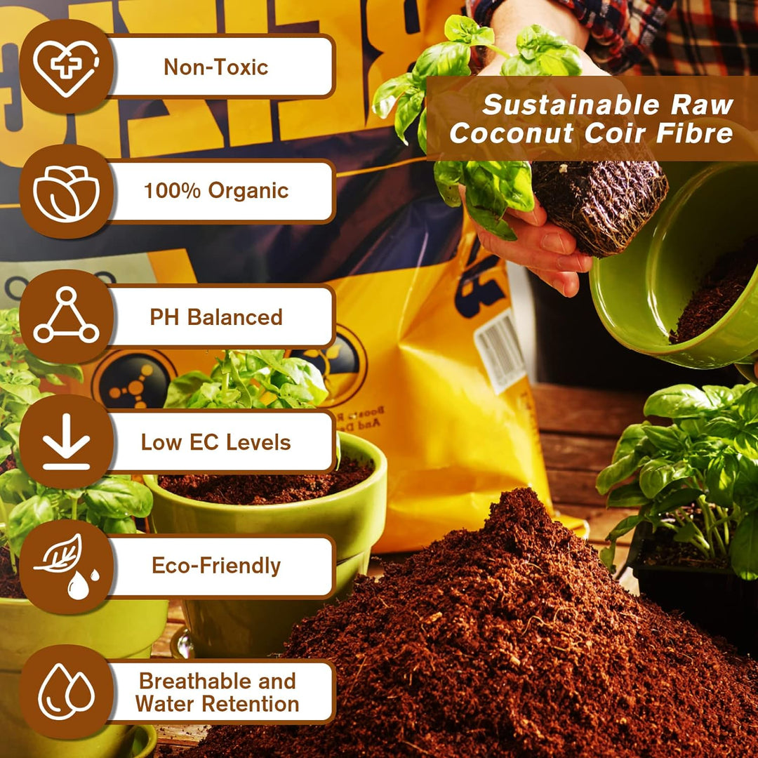 FALUVA Luca Organic Coconut Coir