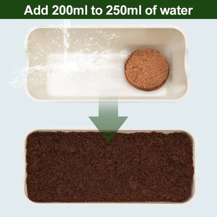 FALUVA Luca Organic Coconut Coir