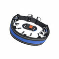 FALUVA Mode Anti-Pull Dog Training Collar Blue